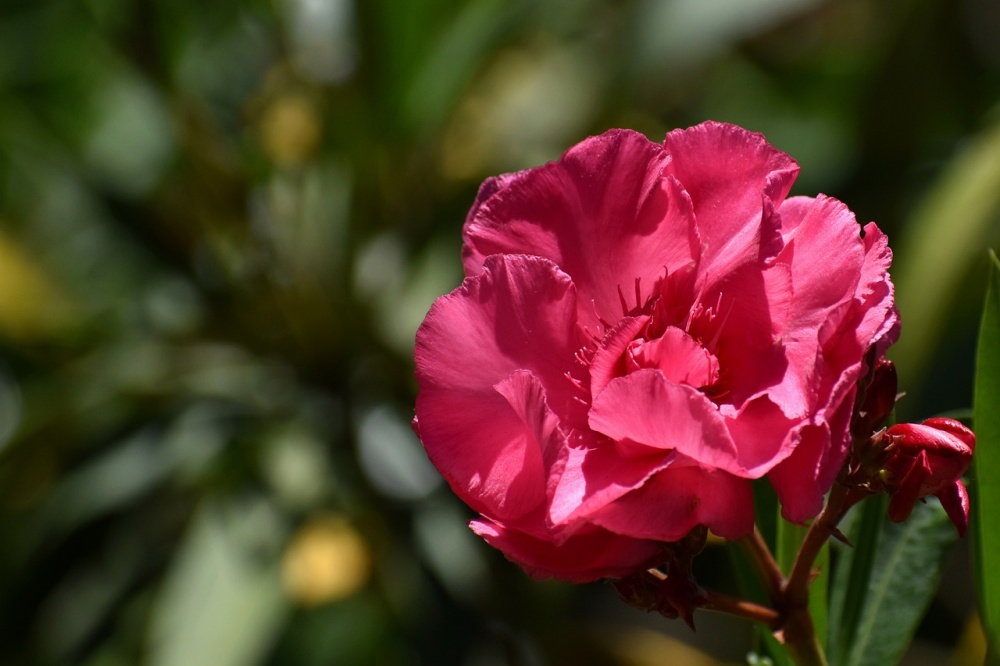 Tử vi ngày 30/6/2023 của 12 cung hoàng đạo: Thiên Bình mệt mỏi, Nhân Mã nhiệt huyết