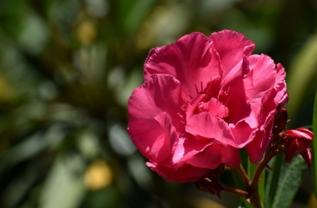 Tử vi ngày 30/6/2023 của 12 cung hoàng đạo: Thiên Bình mệt mỏi, Nhân Mã nhiệt huyết