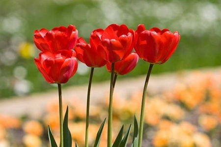 Tử vi ngày 1/7/2023: Tuổi Tý xoay như chong chóng, tuổi Ngọ gặp hung hóa cát