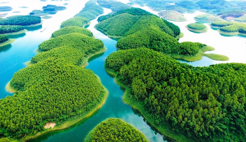 Đầm Vân Hội: 