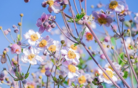 Tử vi ngày 10/7/2023 của 12 cung hoàng đạo: Bạch Dương lạc quan, Nhân Mã nhạy cảm