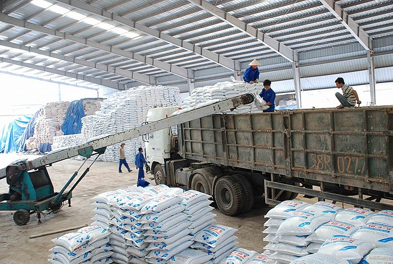 Giá phân bón hôm nay 10/7: DAP giảm theo xu hướng thế giới