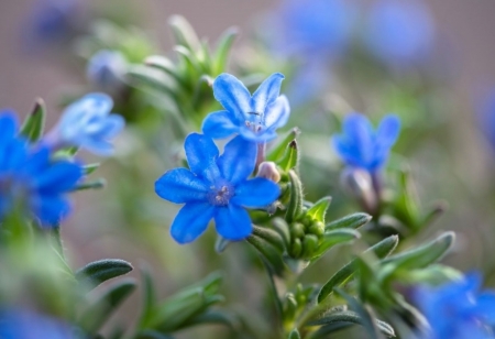 Tử vi ngày 11/7/2023: Tuổi Thìn quý nhân nâng đỡ, tuổi Hợi tài lộc rủng rỉnh