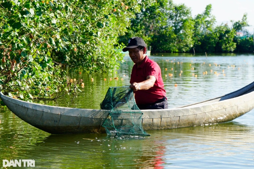 Với 4ha thả nuôi tôm sú, cua và cá, hộ ông Lập thu lãi ròng khoảng 500 triệu đồng mỗi năm (Ảnh: Doãn Công).