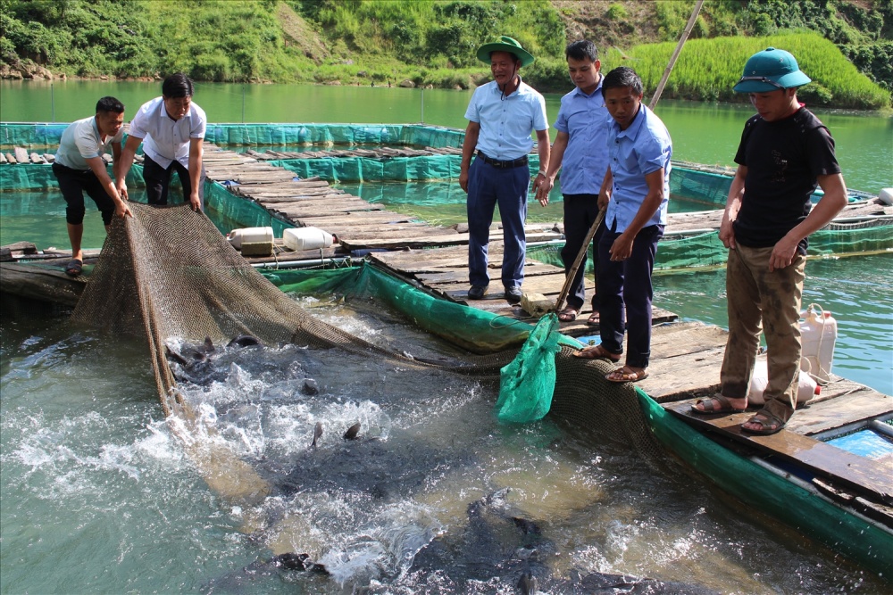 Lên Khâu Vai trải nghiệm hẻm Phong Lưu