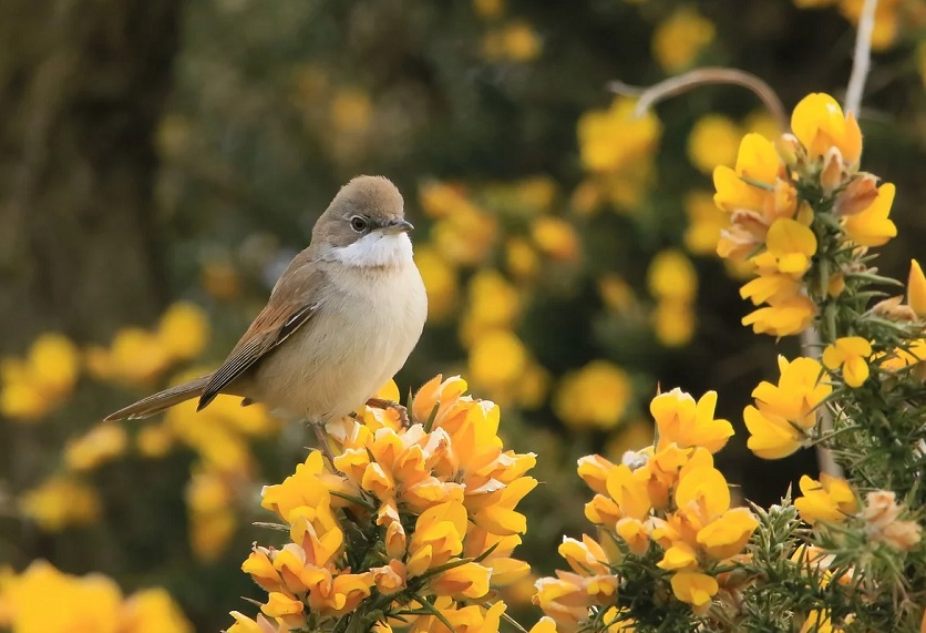 Tử vi ngày 11/7/2023 của 12 cung hoàng đạo: Cự Giải cô đơn, Thiên Bình khó khăn tài chính
