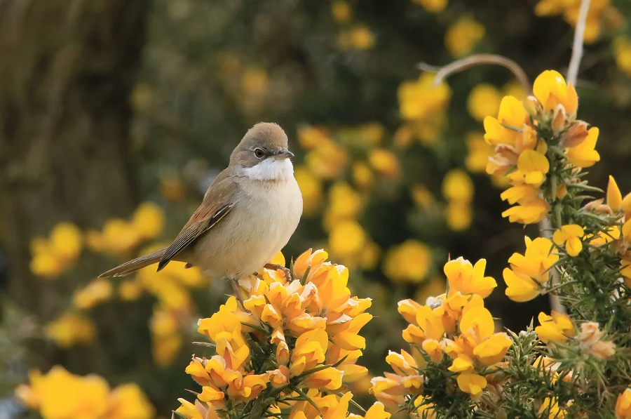 Tử vi ngày 11/7/2023 của 12 cung hoàng đạo: Cự Giải cô đơn, Thiên Bình khó khăn tài chính Tử vi ngày 11/7/2023 của 12 cung hoàng đạo: Cự Giải cô đơn, Thiên Bình khó khăn tài chính