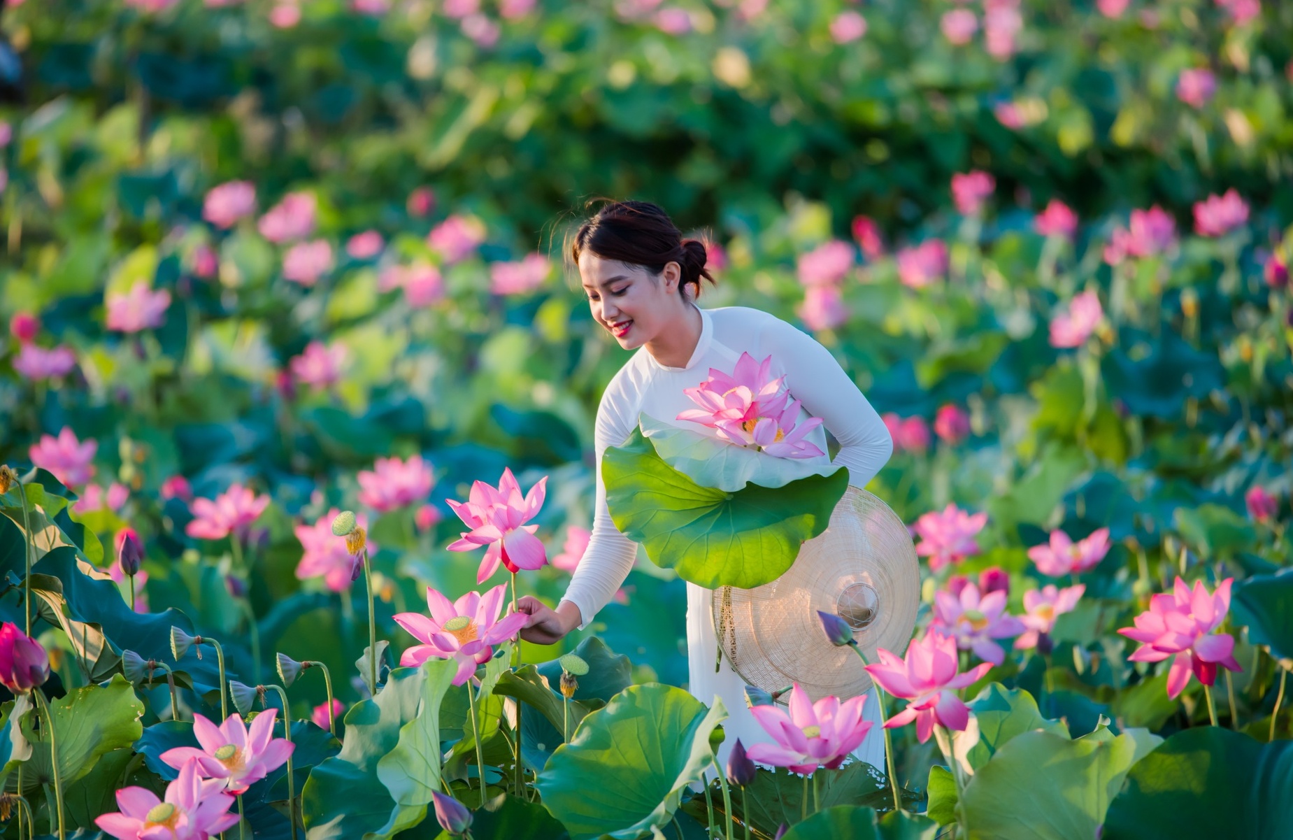 Cánh đồng sen bạt ngàn, đẹp hút hồn ở Quảng Nam