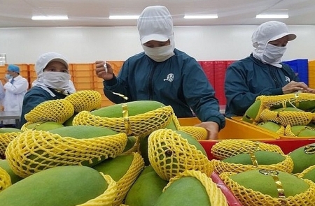 Xuất khẩu tìm dư địa ở các thị trường triển vọng