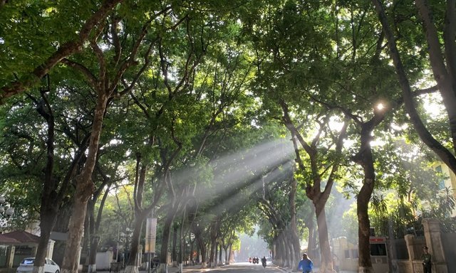 Thời tiết ngày 15/7/2023: Đón mưa mát, miền Bắc chấm dứt nắng nóng