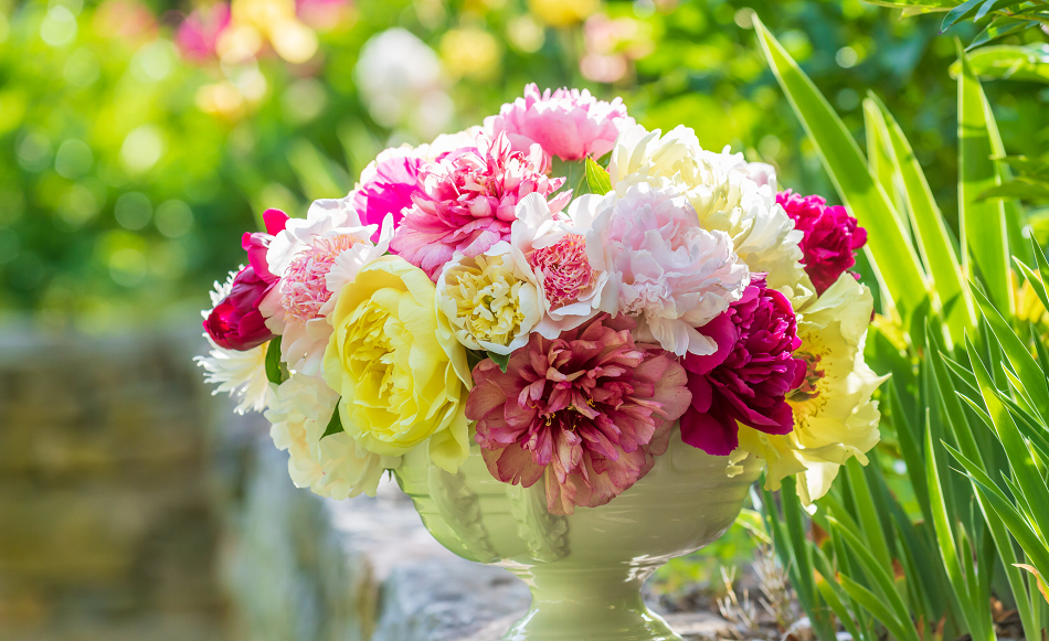 Tử vi ngày 7/8/2023 của 12 cung hoàng đạo: Bạch Dương nguyên tắc, Song Ngư nhiệt huyết Tử vi ngày 7/8/2023 của 12 cung hoàng đạo: Bạch Dương nguyên tắc, Song Ngư nhiệt huyết