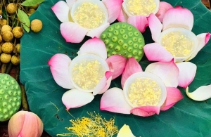 Chè sen long nhãn - Tinh túy của đất trời