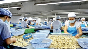 Lại xuất hiện vụ việc nghi bị lừa đảo trong xuất khẩu điều