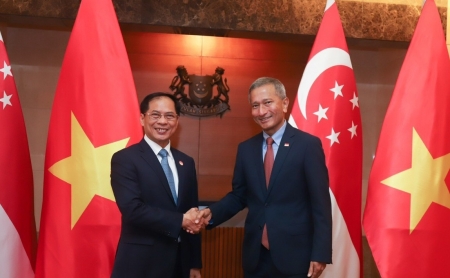 Bộ trưởng Bùi Thanh Sơn hội đàm với Bộ trưởng Ngoại giao Singapore