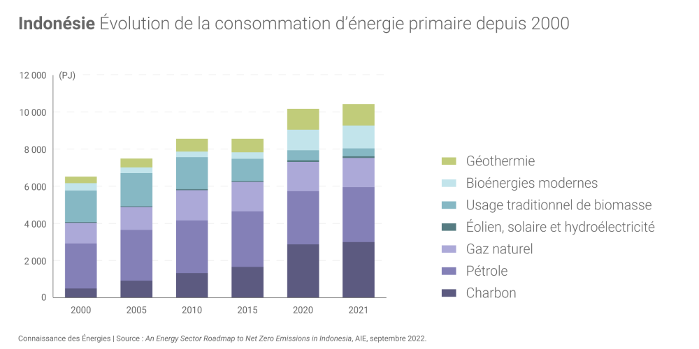 Chuyển sang năng lượng xanh: Thách thức lớn của Indonesia Chuyển sang năng lượng xanh: Thách thức lớn của Indonesia