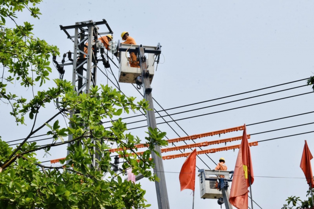 Sắc cam trong nắng