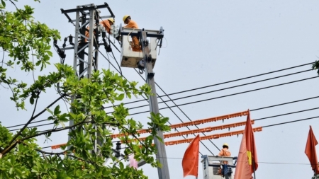Sắc cam trong nắng