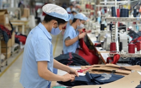 TP HCM: Hơn 82.000 doanh nghiệp chậm đóng bảo hiểm