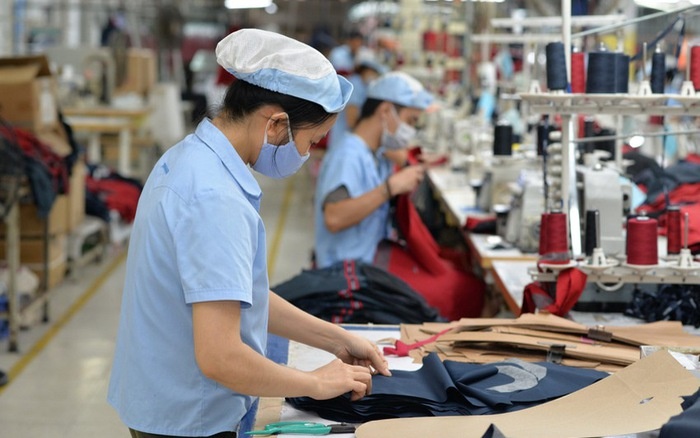 TP HCM: Hơn 82.000 doanh nghiệp chậm đóng bảo hiểm
