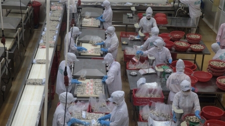 Hỗ trợ lĩnh vực lâm, thủy sản vượt khó