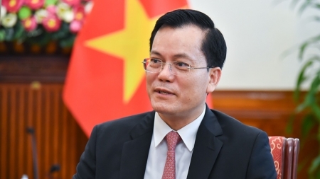 Tăng cường hợp tác toàn diện giữa Việt Nam với Israel và Ai Cập