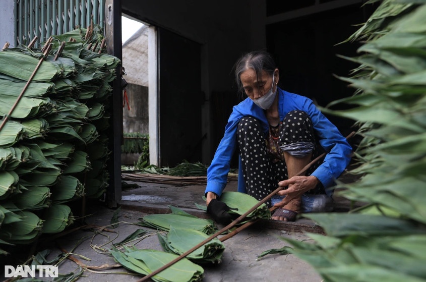 Bà Đinh Thị Tịnh (76 tuổi) làm việc phân loại, xếp lá thuê với mức tiền công từ 70.000-100.000 đồng/ngày.