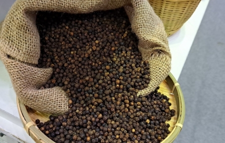 Thủ tướng chỉ đạo hỗ trợ các doanh nghiệp xuất khẩu hồ tiêu sang thị trường UAE