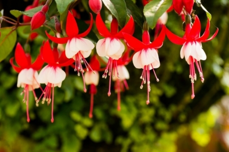 Tử vi ngày 2/8/2023: Tuổi Tý tranh chấp làm ăn, tuổi Sửu may mắn bất ngờ