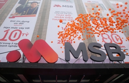 Lợi nhuận tại MSB giảm tốc do đâu?