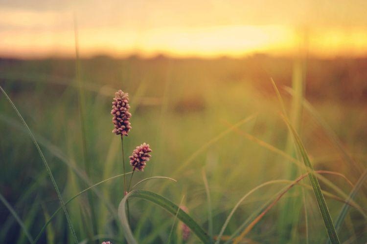 Tử vi ngày 4/8/2023 của 12 cung hoàng đạo: Kim Ngưu cần thư giãn, Sư Tử thất thường Tử vi ngày 4/8/2023 của 12 cung hoàng đạo: Kim Ngưu cần thư giãn, Sư Tử thất thường