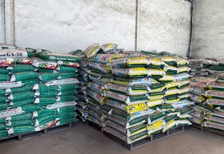Giá phân bón hôm nay 3/8: Nhập khẩu Kali tăng gần 30%