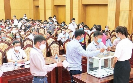 Rà soát các quy định về đấu giá tài sản đặc thù