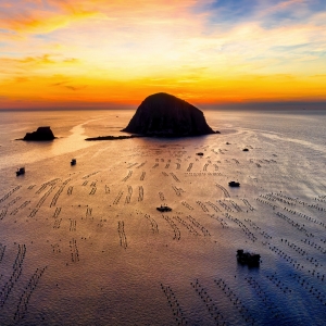 Cảnh bình minh tuyệt đẹp ở Hòn Yến 