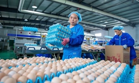 Các nước lo lạm phát, Trung Quốc lại lo giảm phát