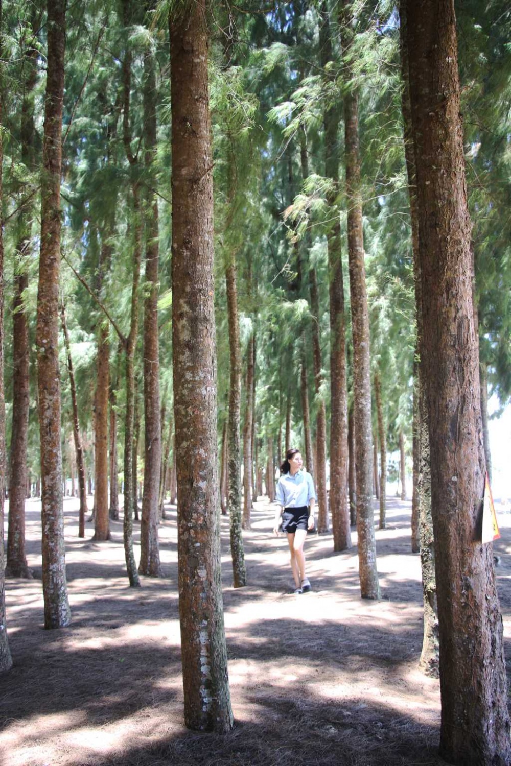 Khám phá đảo ngọc Cái Chiên (Quảng Ninh) Khám phá đảo ngọc Cái Chiên (Quảng Ninh)