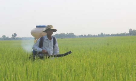 Phân bón không chịu thuế VAT: Thiệt hại đủ bề!