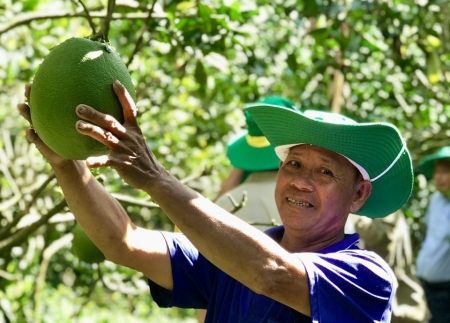 NPK Cà Mau công nghệ polyphosphate giúp nhà nông tăng lợi