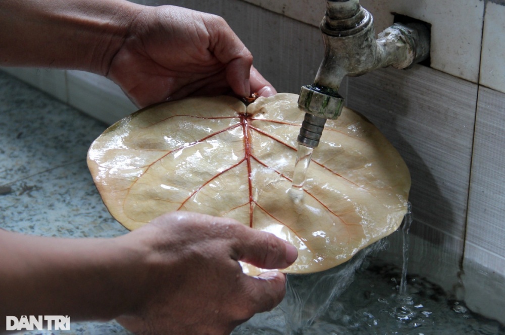 Lá tra xuất ngoại mang về tiền tỷ