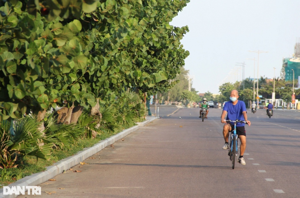 Lá tra xuất ngoại mang về tiền tỷ