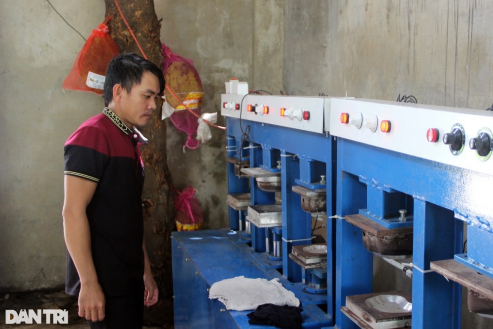 Lá tra xuất ngoại mang về tiền tỷ