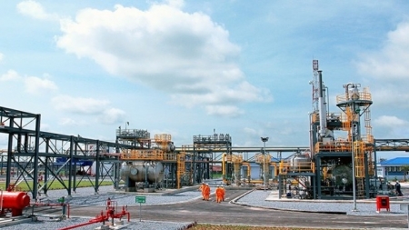 Thủ tục chuyển mục đích sử dụng rừng, đất của dự án phát triển mỏ dầu khí trên đất liền
