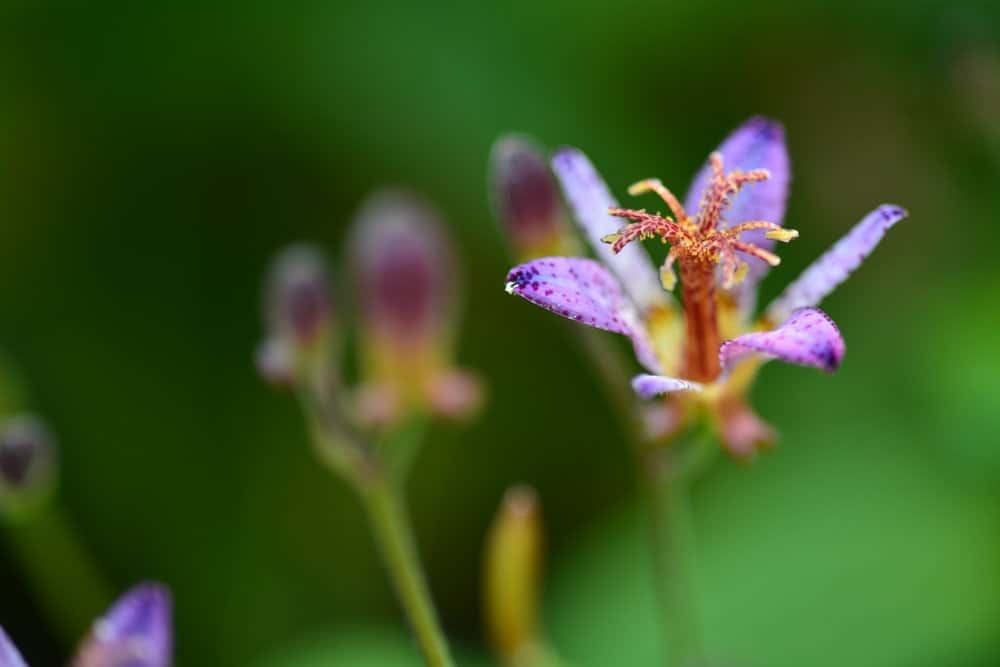 Tử vi ngày 19/8/2023: Tuổi Mão công việc lận đận, tuổi Hợi thuận buồm xuôi gió Tử vi ngày 19/8/2023: Tuổi Mão công việc lận đận, tuổi Hợi thuận buồm xuôi gió