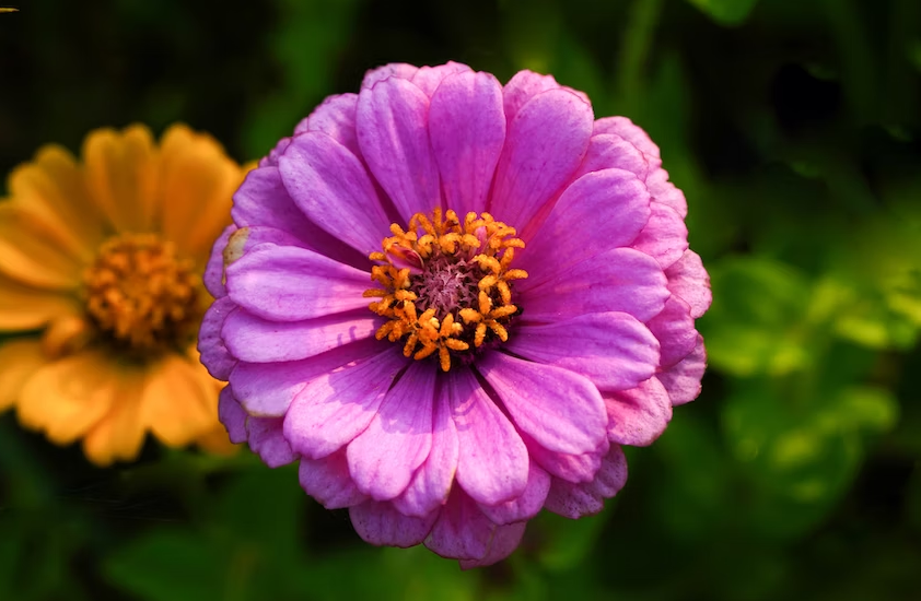 Tử vi ngày 21/8/2023 của 12 cung hoàng đạo: Song Tử mệt mỏi, Ma Kết may mắn Tử vi ngày 21/8/2023 của 12 cung hoàng đạo: Song Tử mệt mỏi, Ma Kết may mắn