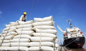 Bài 1: Đảm bảo an ninh lương thực trước 