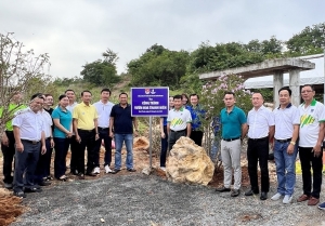 PVFCCo phát động chương trình trồng cây xanh tại TP Phan Thiết