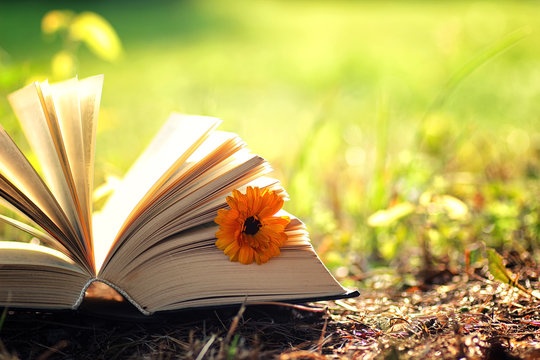 Tử vi tuần mới 28/9 - 4/10/2026: Tuổi Mão mở thêm hướng mới, tuổi Dậu kiên trì mục tiêu Tử vi tuần mới 28/9 - 4/10/2026: Tuổi Mão mở thêm hướng mới, tuổi Dậu kiên trì mục tiêu