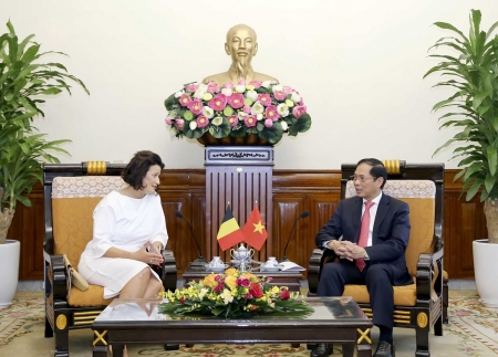 Bộ trưởng Ngoại giao Bùi Thanh Sơn tiếp Chủ tịch Thượng viện Bỉ Stephanie D’Hose
