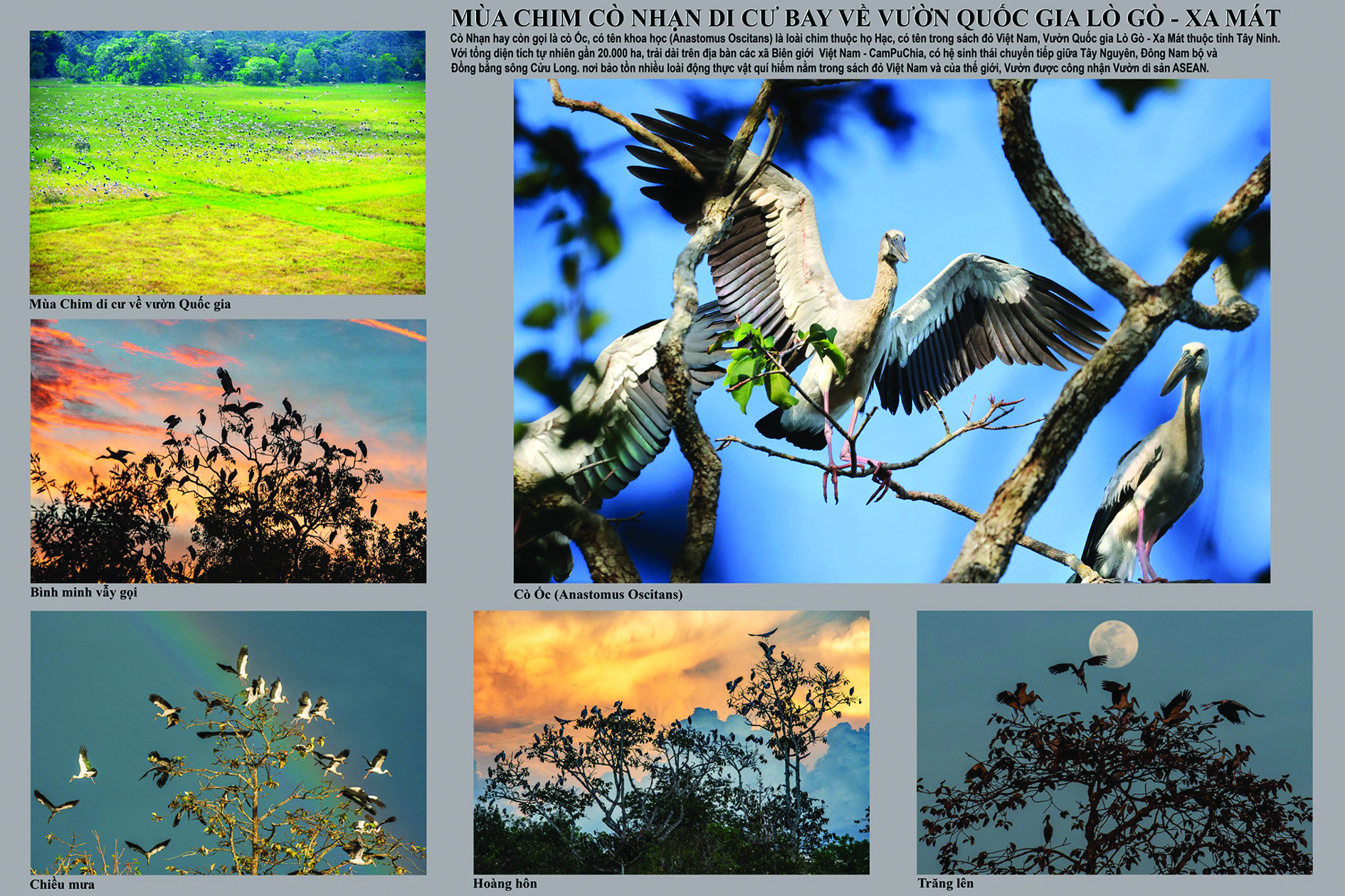 “Nét đẹp Tây Ninh” qua góc nhìn của các nhiếp ảnh gia “Nét đẹp Tây Ninh” qua góc nhìn của các nhiếp ảnh gia