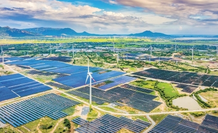 Đã có 80 dự án năng lượng tái tạo chuyển tiếp gửi hồ sơ đàm phán giá điện