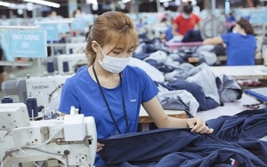 Tin tức kinh tế ngày 24/8: Đơn đặt hàng ngành dệt may dự kiến cải thiện từ quý IV/2023